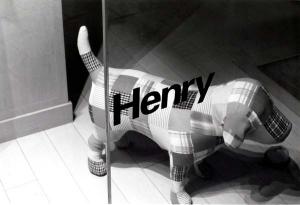 ヘンリーが欲しいのは