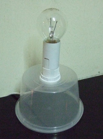 lamp4.jpg