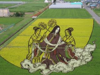今年の田んぼアートの題材は『竹取物語』