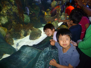 Adventure Aquarium 4