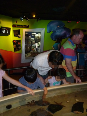 Adventure Aquarium 8