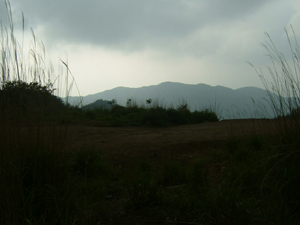 島根の山の景色。