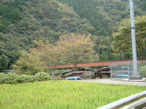 太田川をわたる可部線の鉄橋