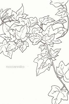 美しい花の画像 50 素晴らしいアイビー イラスト 白黒