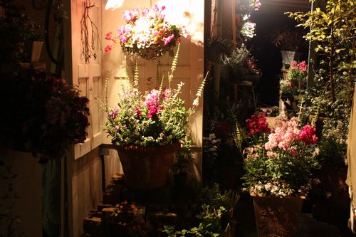 T’s Garden Healing Flowers‐店頭の夜景